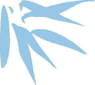 成都农业科技职业学院2024年“3 2”五年制贯通培养招生信息