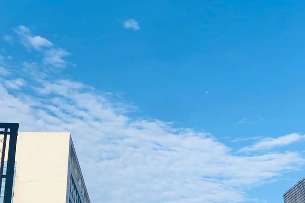 2025年成都农业科技职业学院单独招生（高职单招）招生计划