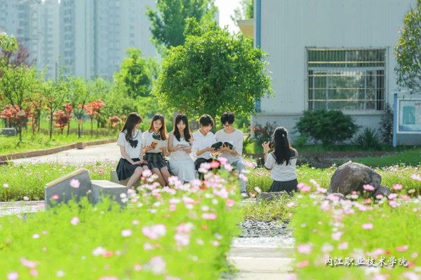 2025年内江职业技术学院单独招生（高职单招）招生计划