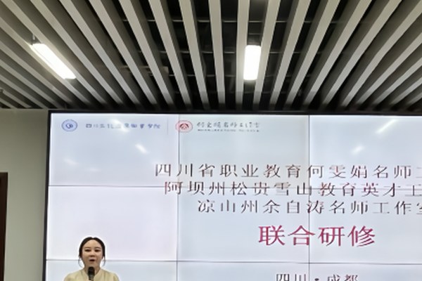 2025年四川文化产业职业学院单独招生（高职单招）招生计划