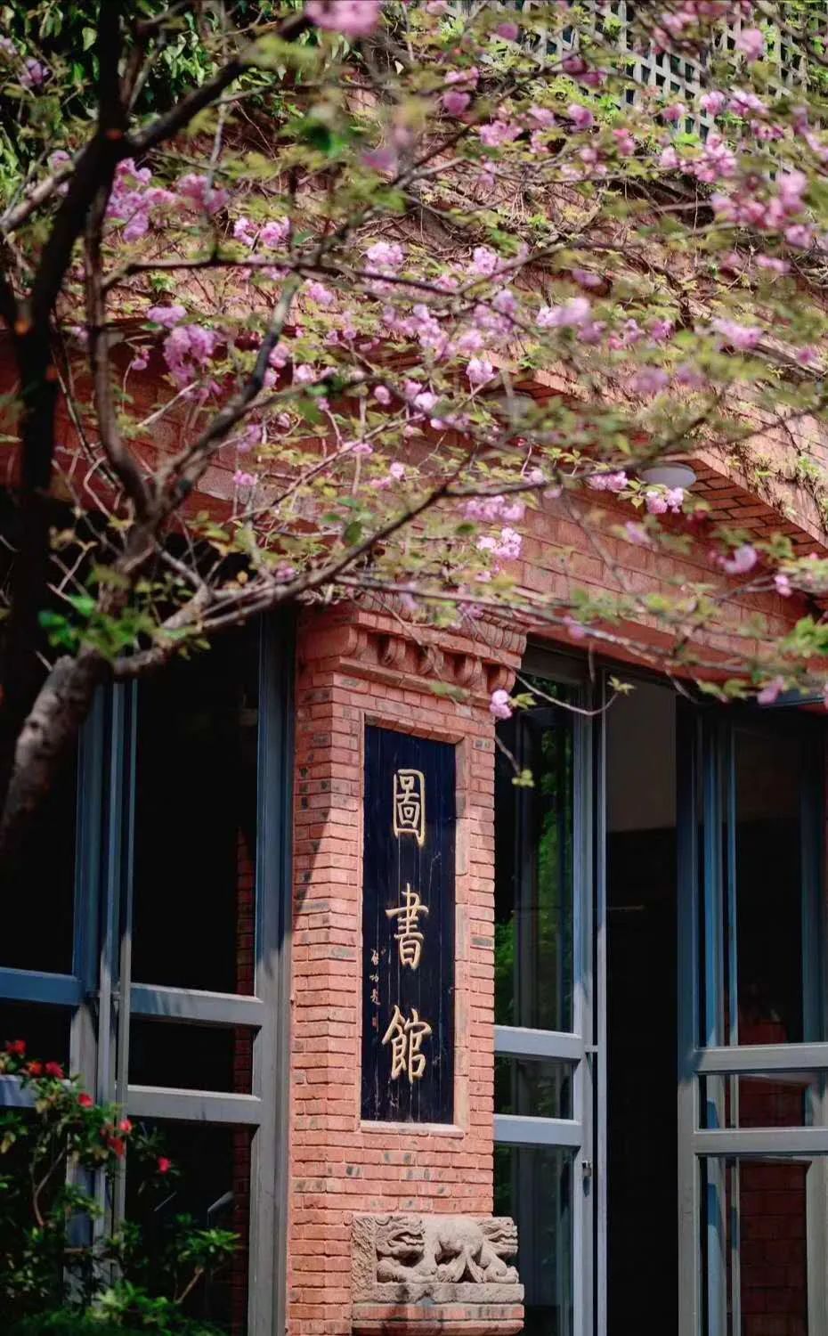 权威发布四川国际标榜职业学院2021年单独考试招生章程