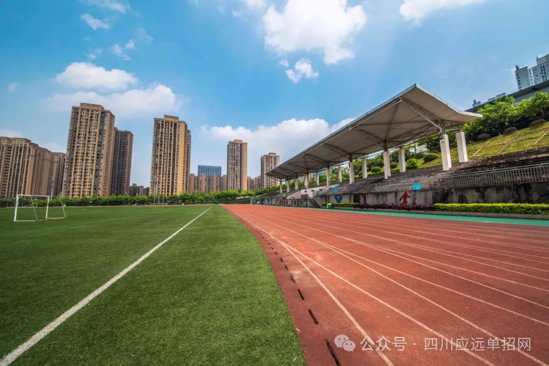 重庆城市管理职业学院2024年单招最低录取分数线