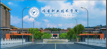 雅安职业技术学院2025年单招录取分数线（分类别）