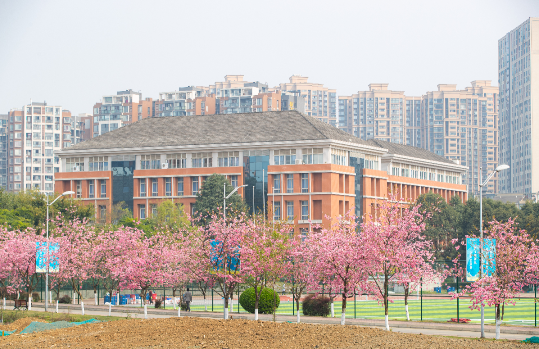四川文化产业职业学院2025年单招录取分数线（分专业）
