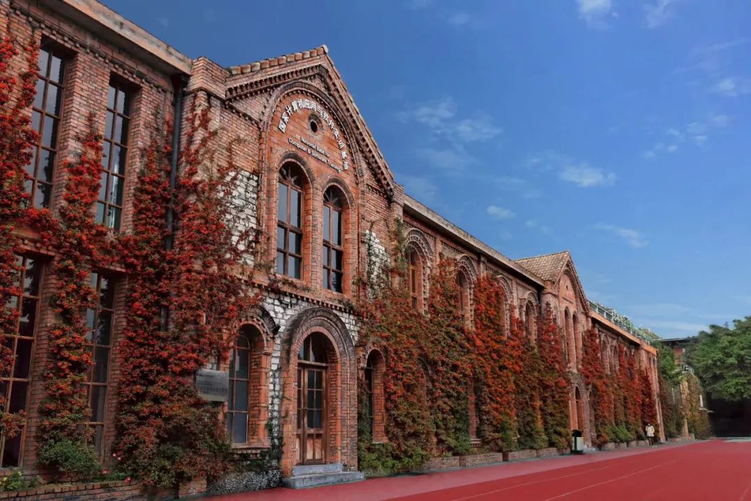 四川国际标榜职业学院2025年高职单招招生简章